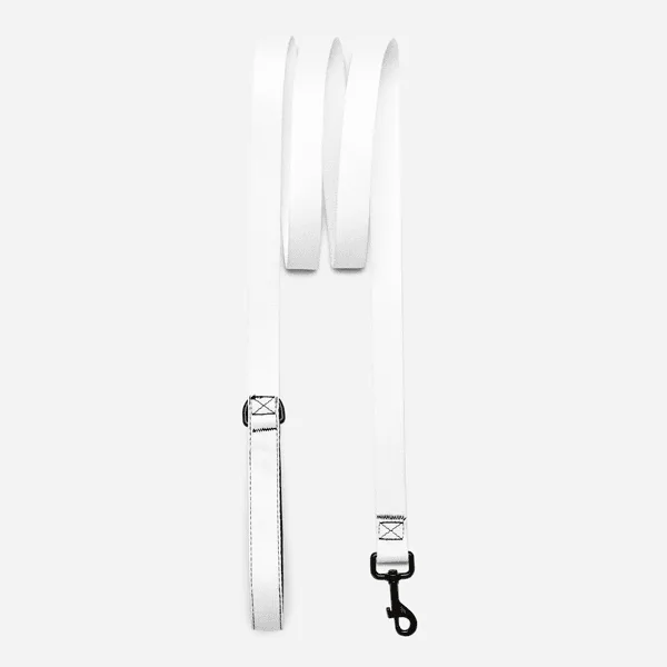 Pet Leash (6ft)